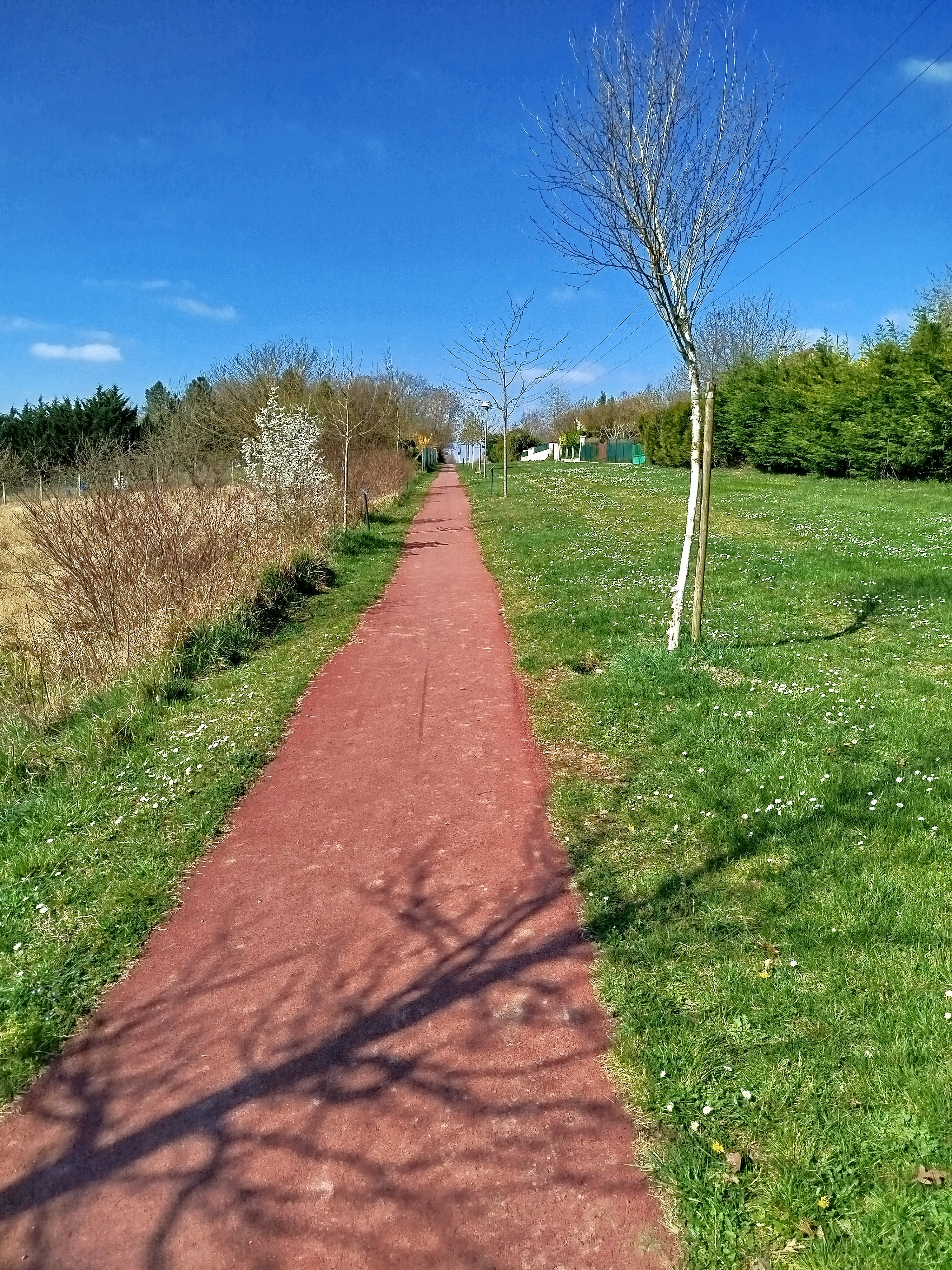 Chemin nbotanique 3.jpg