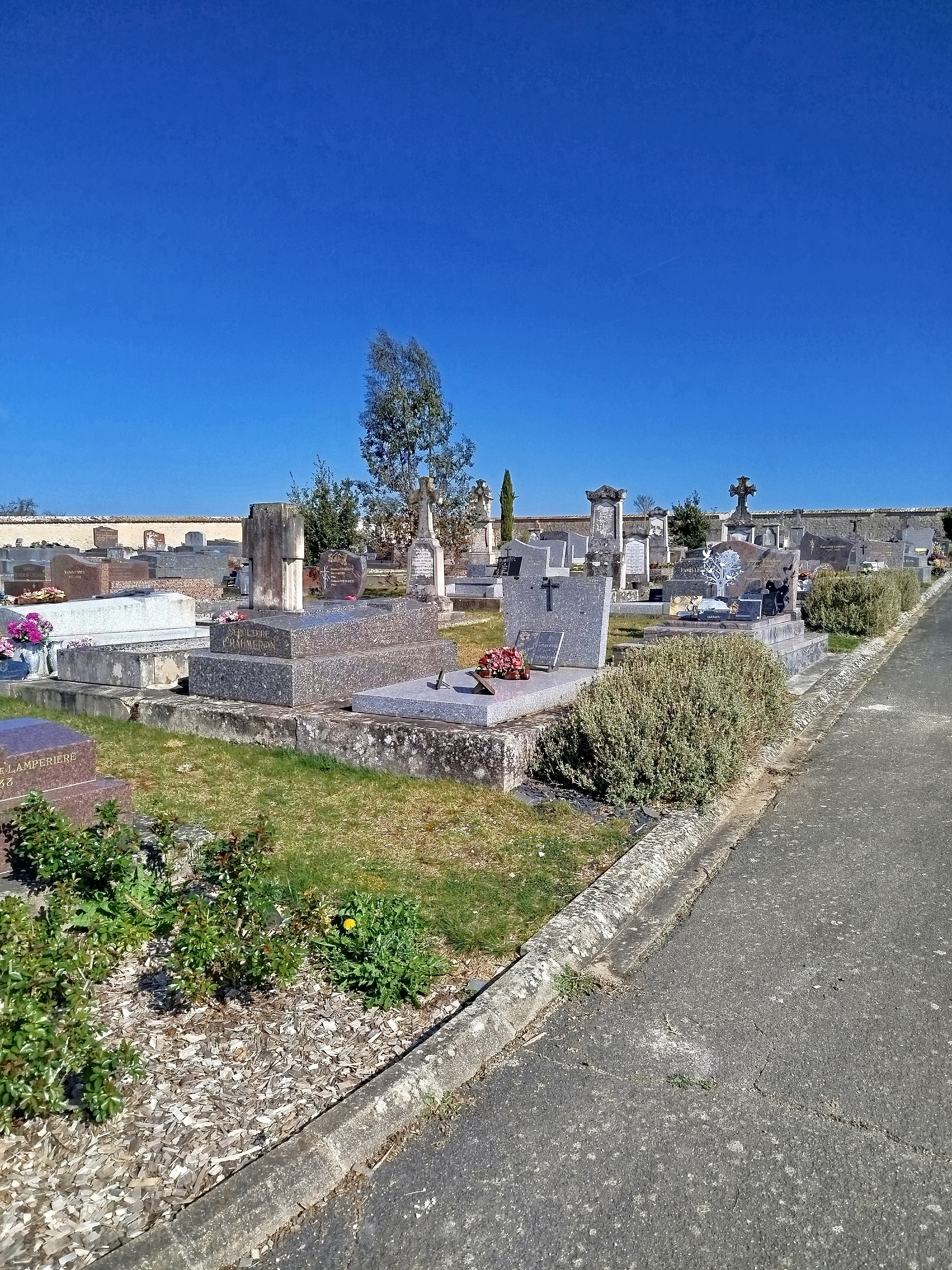Cimetière végétalisé _2_.jpg