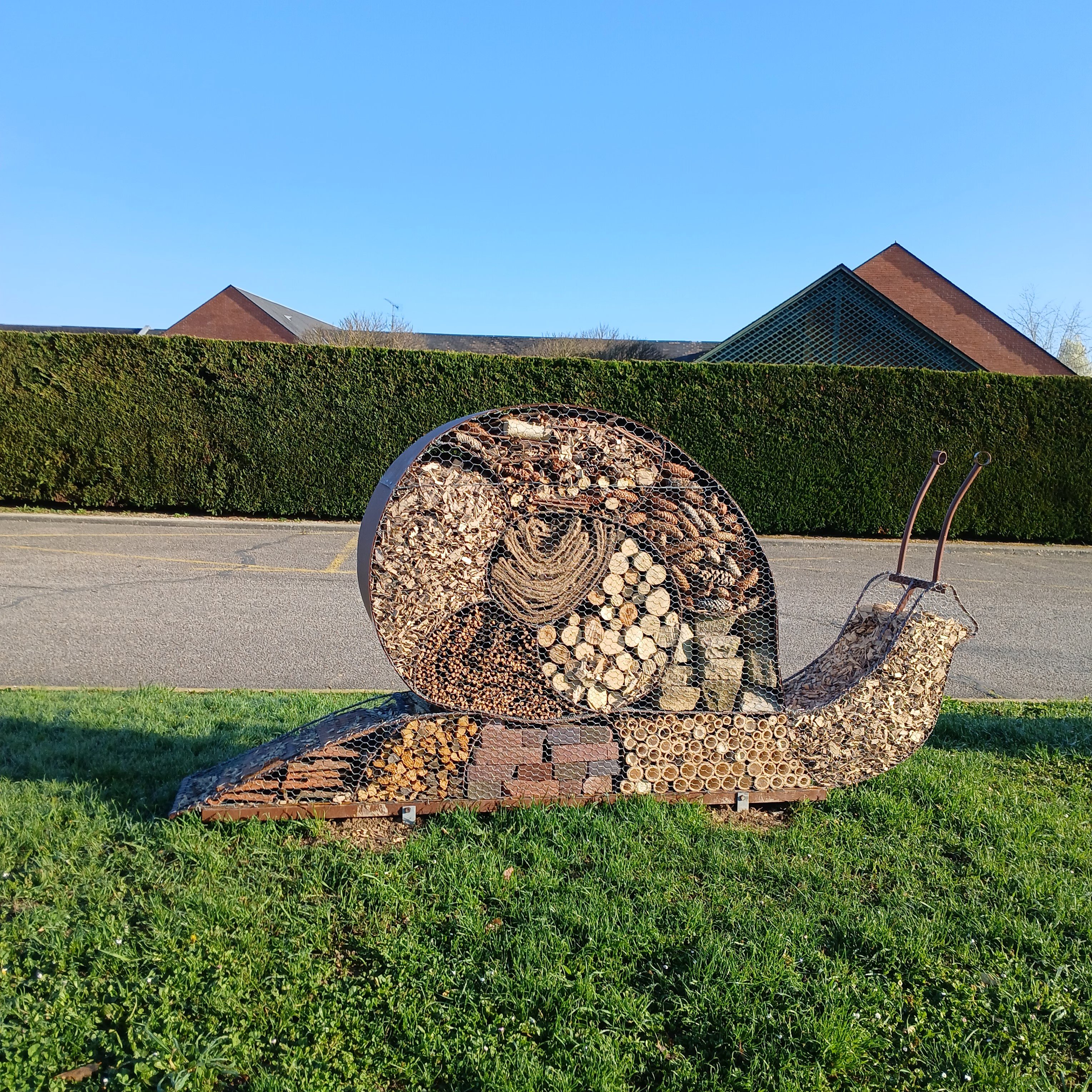 ESCARGOT 2.jpg