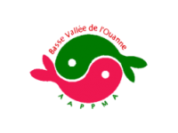 BVO.png