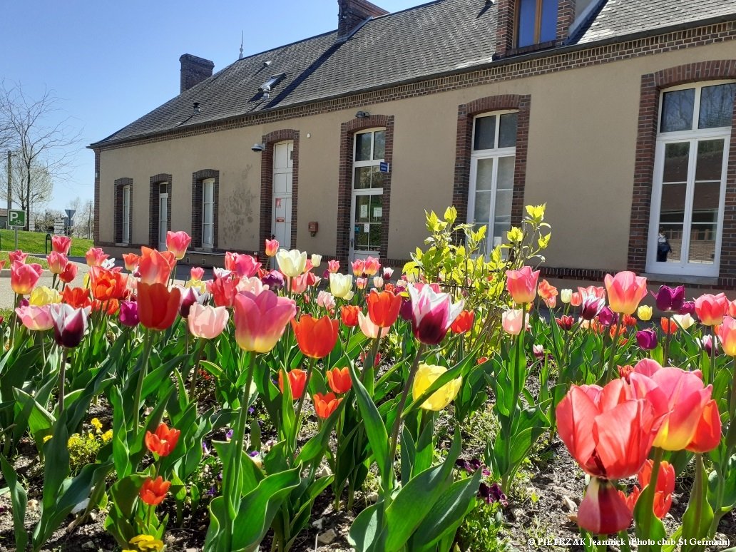 Mairie Tulipes.jpg