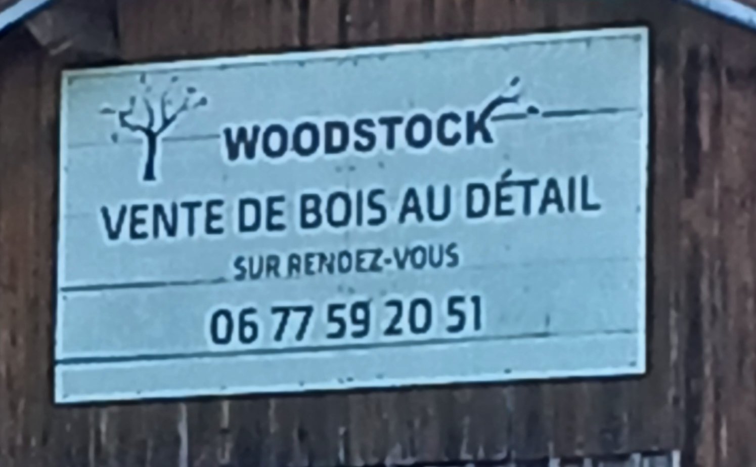 WOODSTOCK.jpg