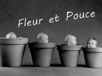 fleur et pouce.jpg