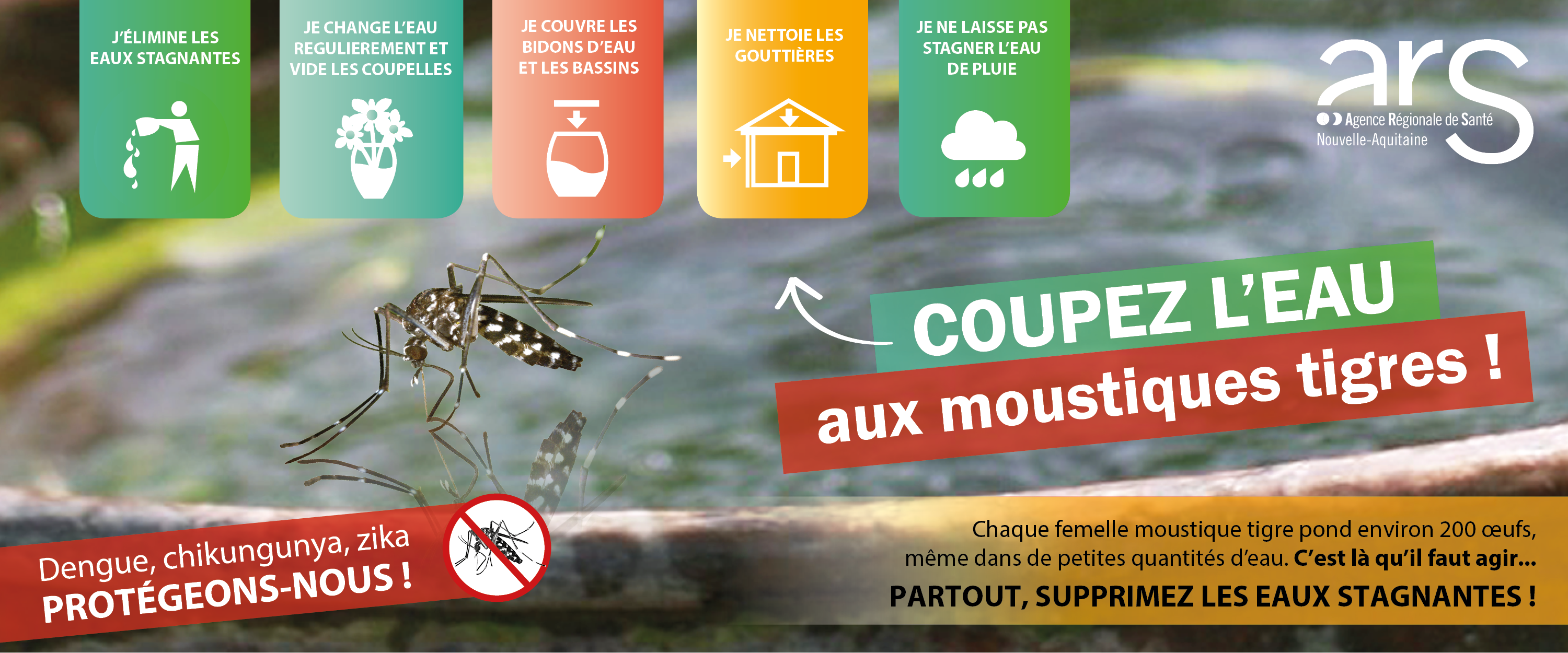Moustique_tigre_2018_Niv_1_banniere_720_300.png