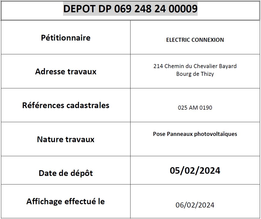 DP24-009-ELECTRIC.JPG