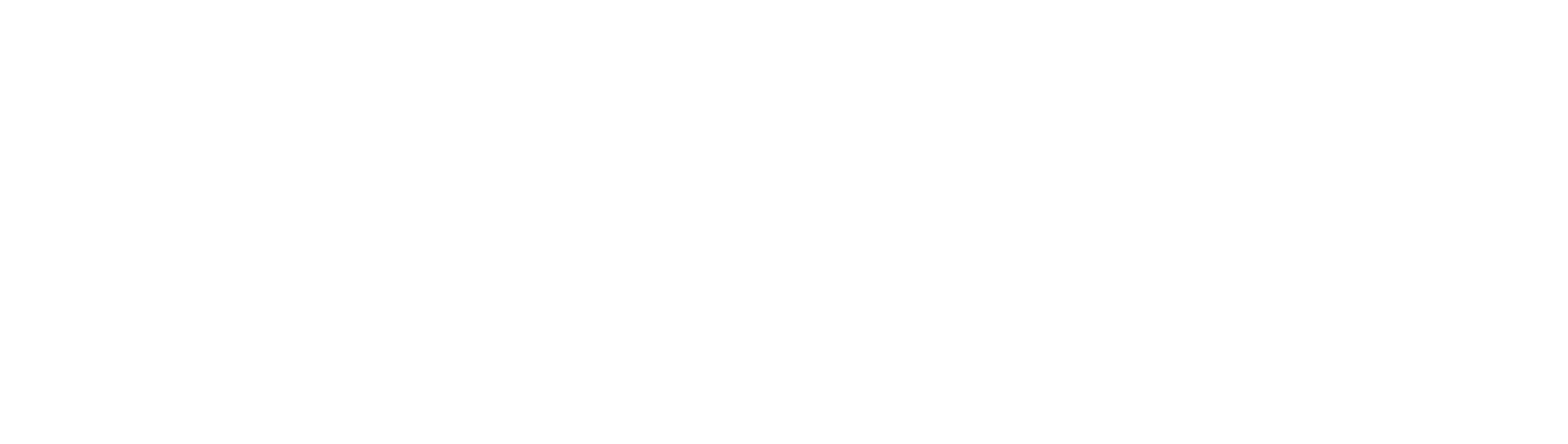 Commune de Thizy les Bourgs