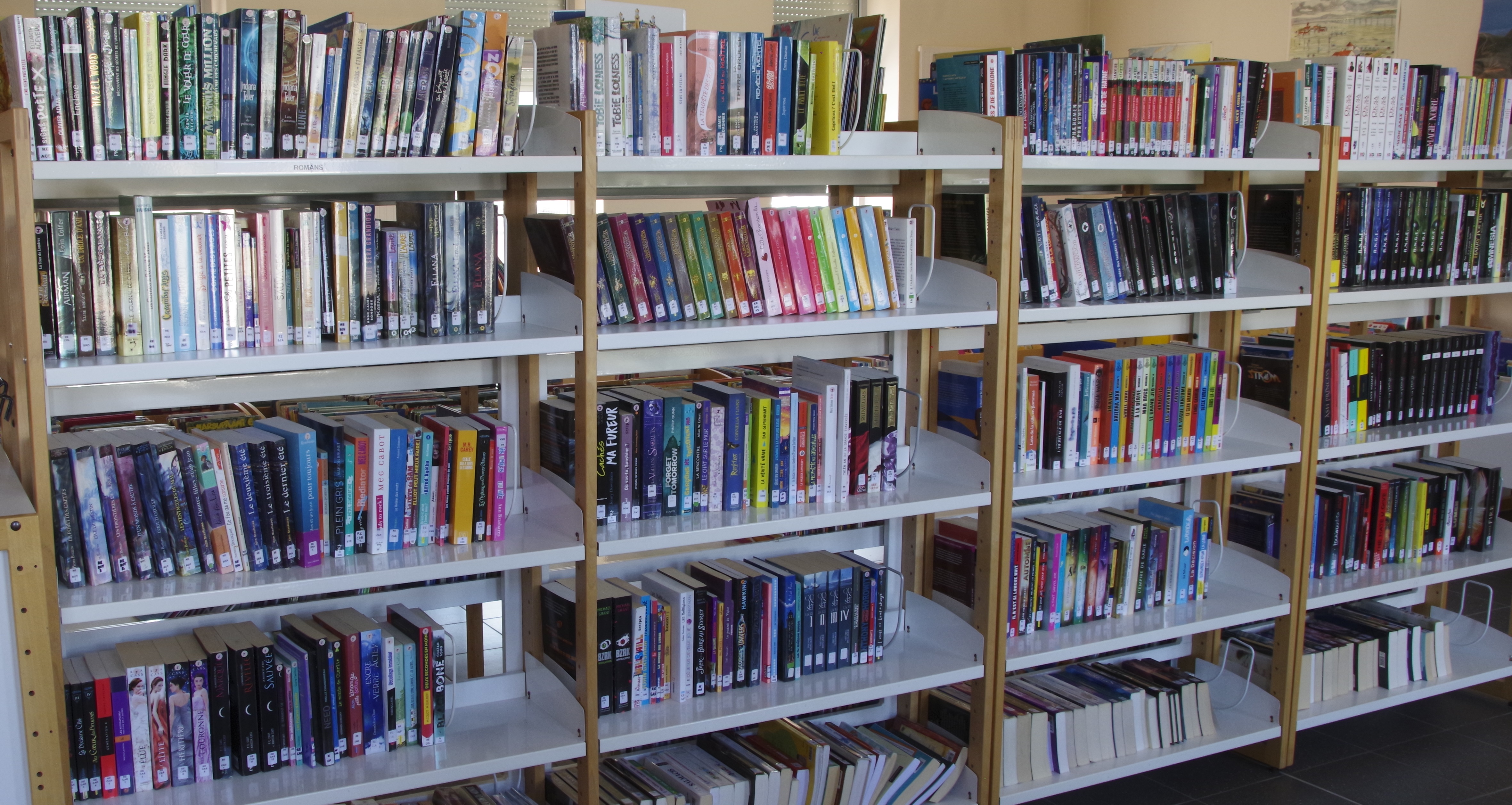 TLB - bib livres.jpg