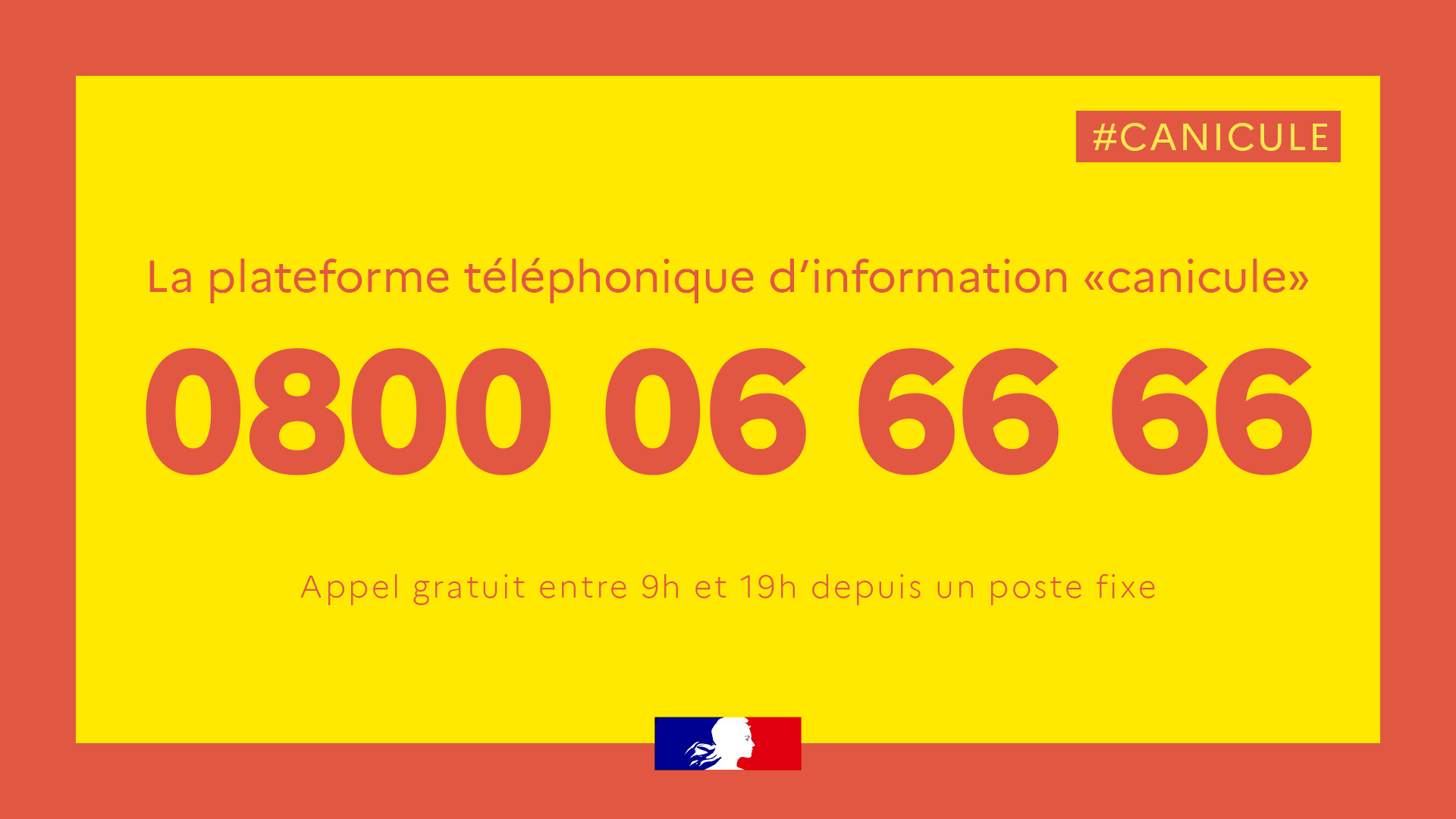 CANICULE NUMERO.png