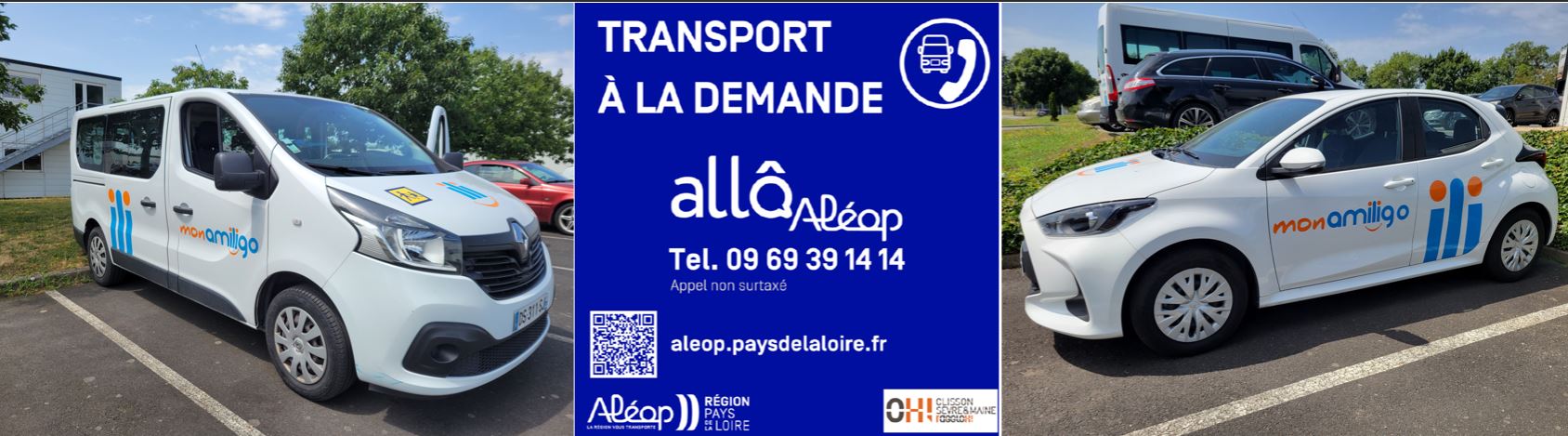 Transport à la demande véhicules.JPG