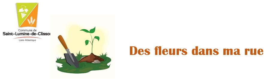 Des fleurs dans ma rue..JPG