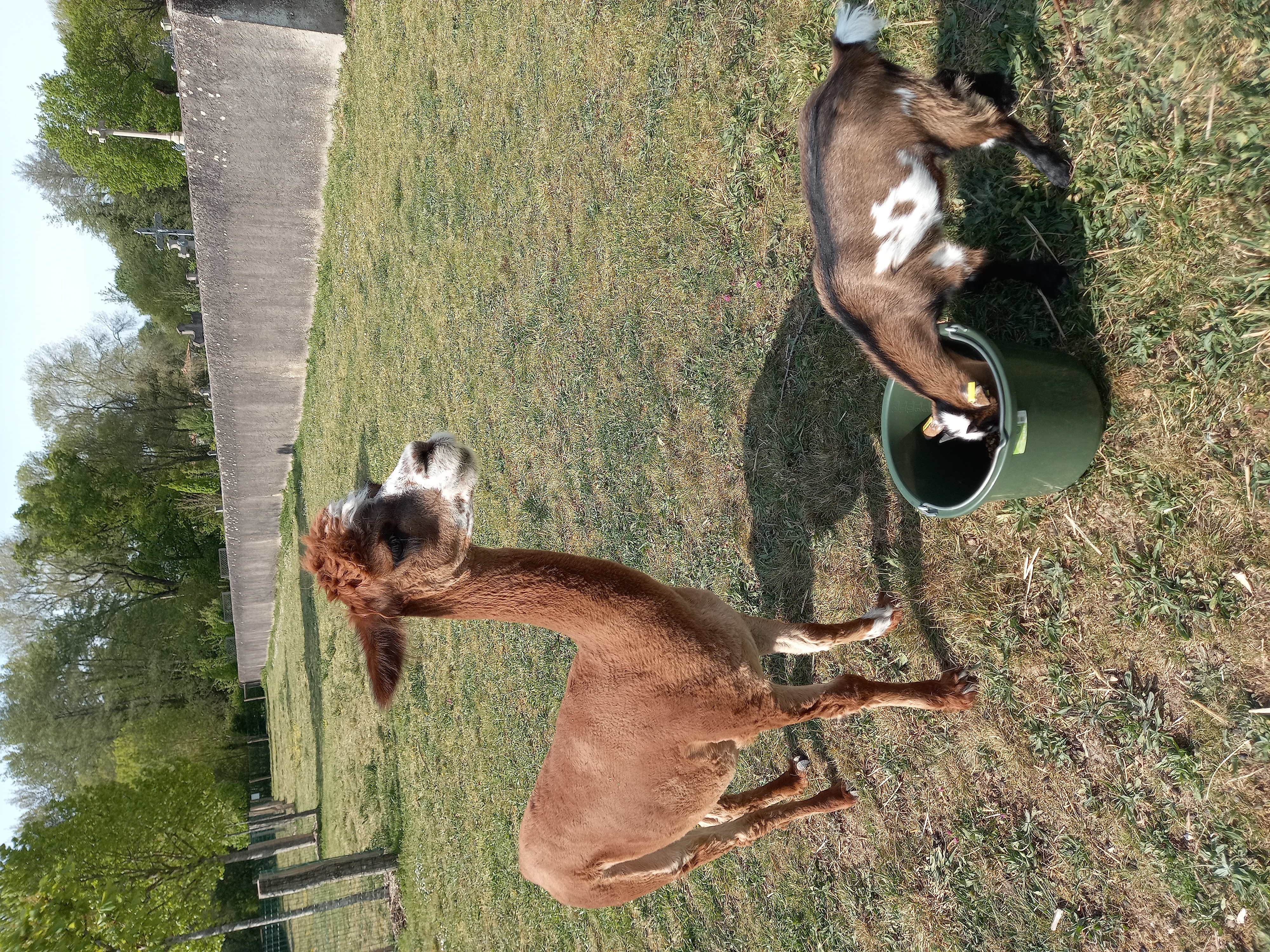 2021 Noisette _ Rosignolle.jpg