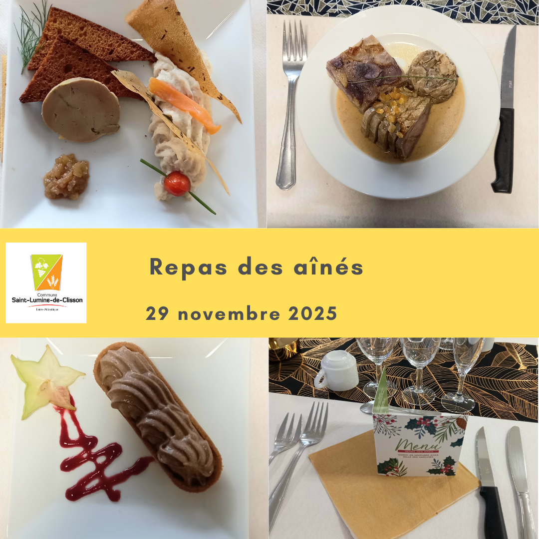 Pêle mêle repas des aînés nov 2025.png