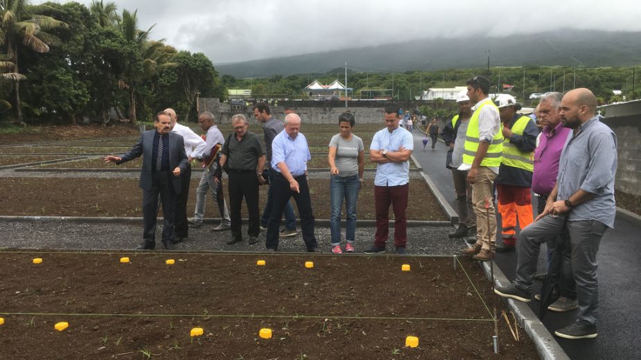 Extension du cimetière.jpg