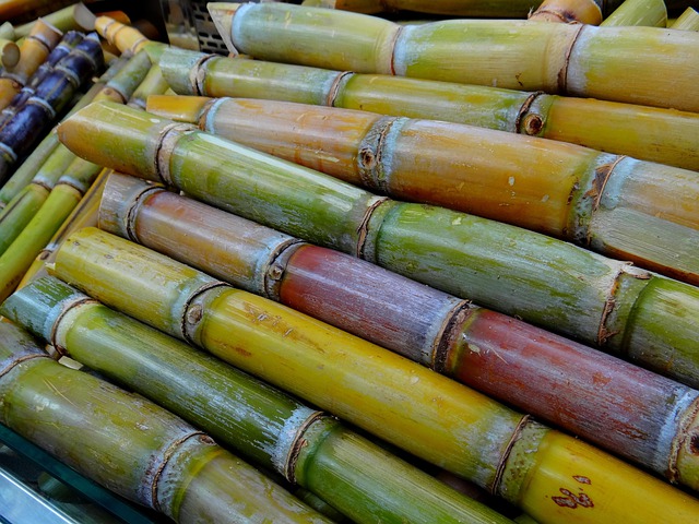 sugar-cane-g9cd4dca2f_640.jpg