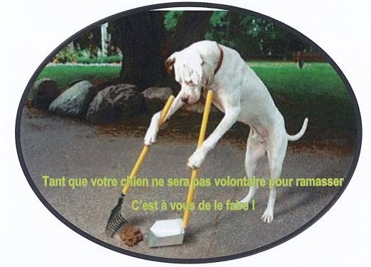 déjections canines.jpg