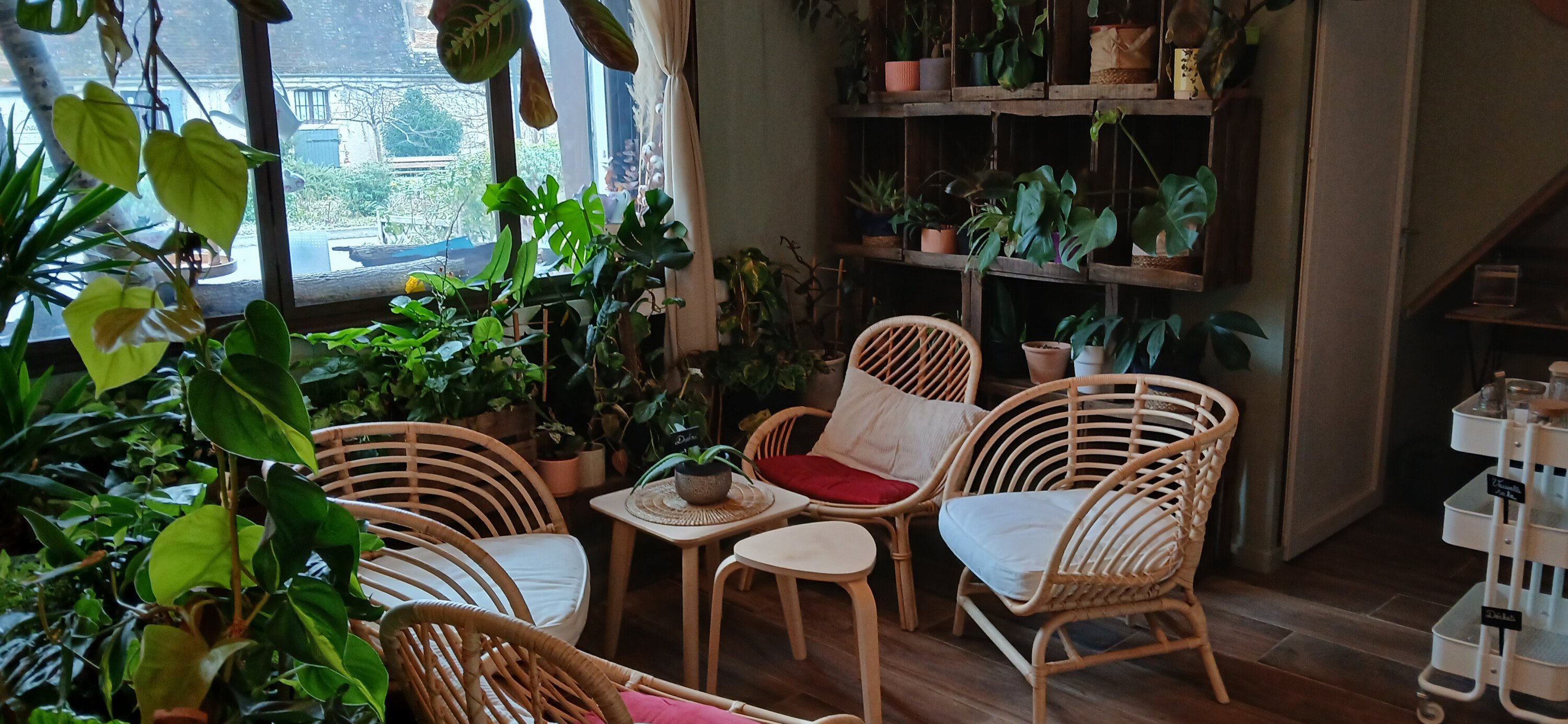 salon de thé _3_.jpg