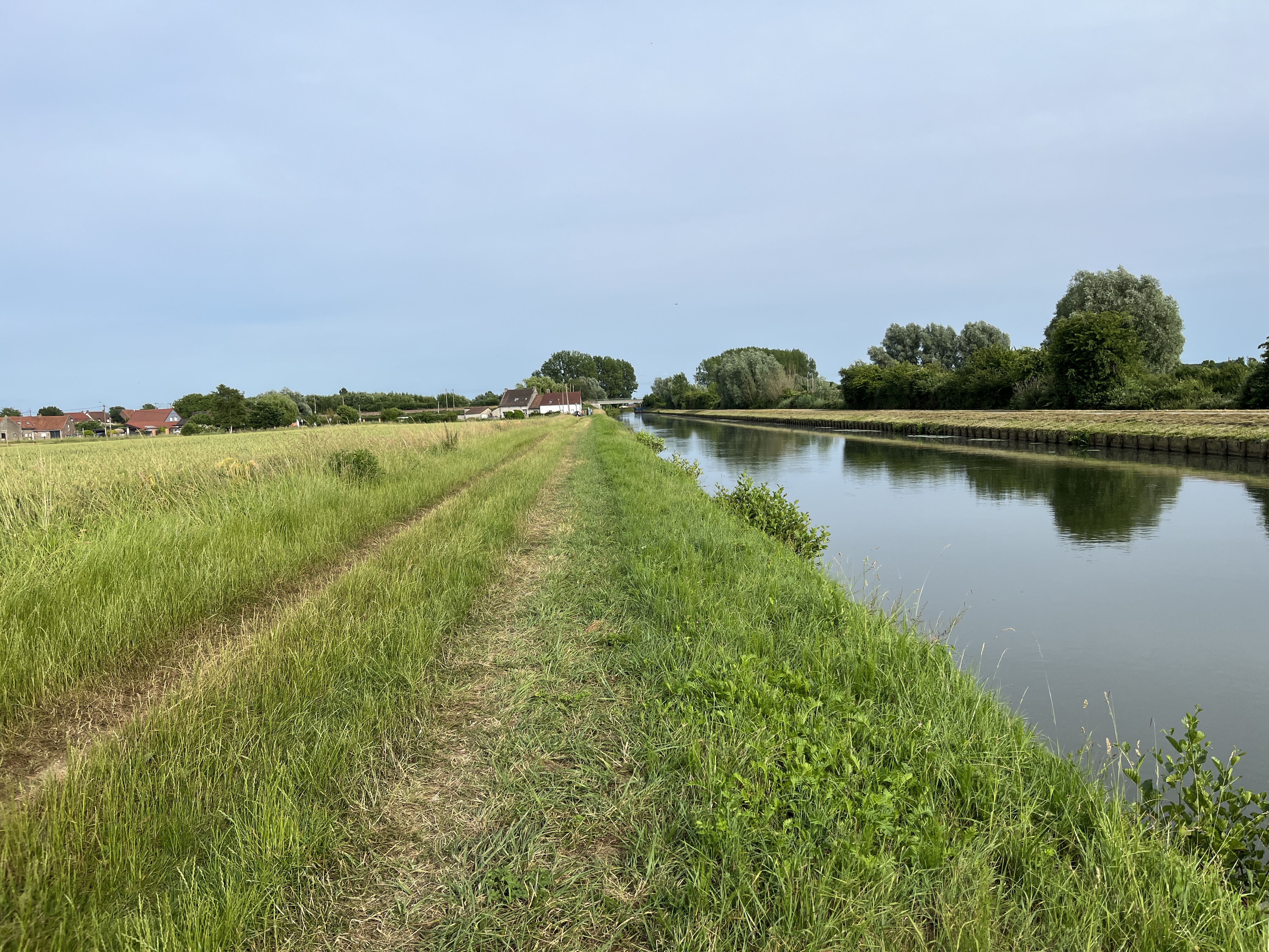IMG_4269.JPG