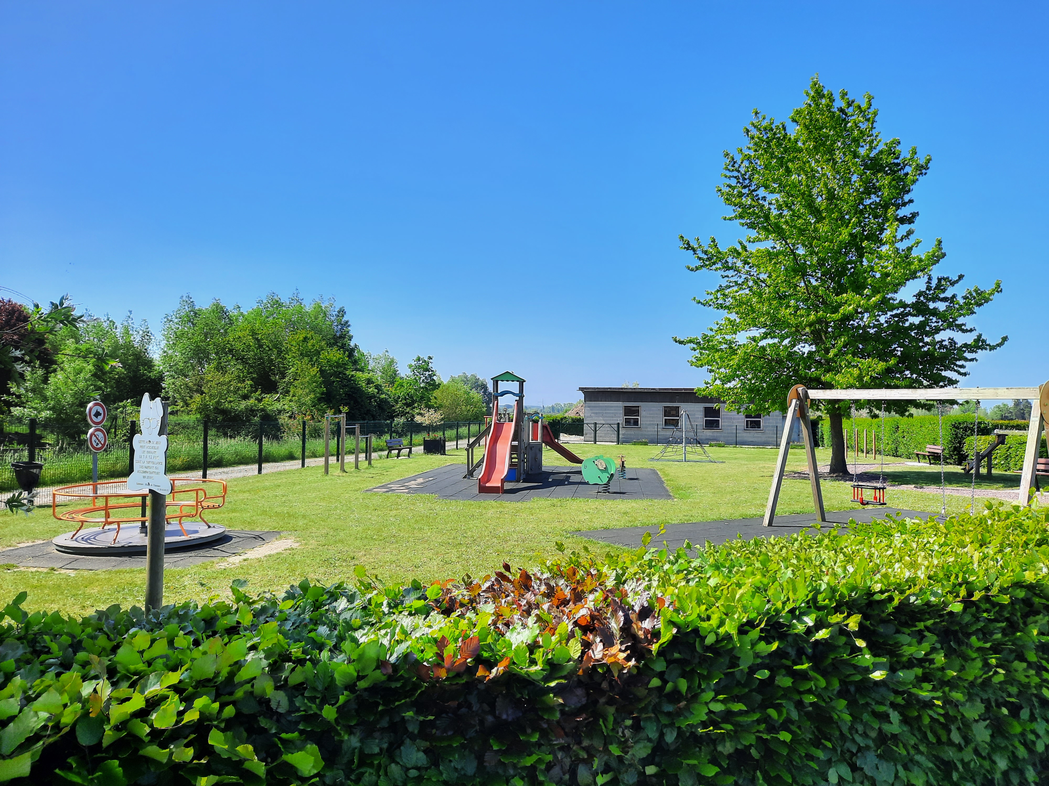 20230526_115106.jpg