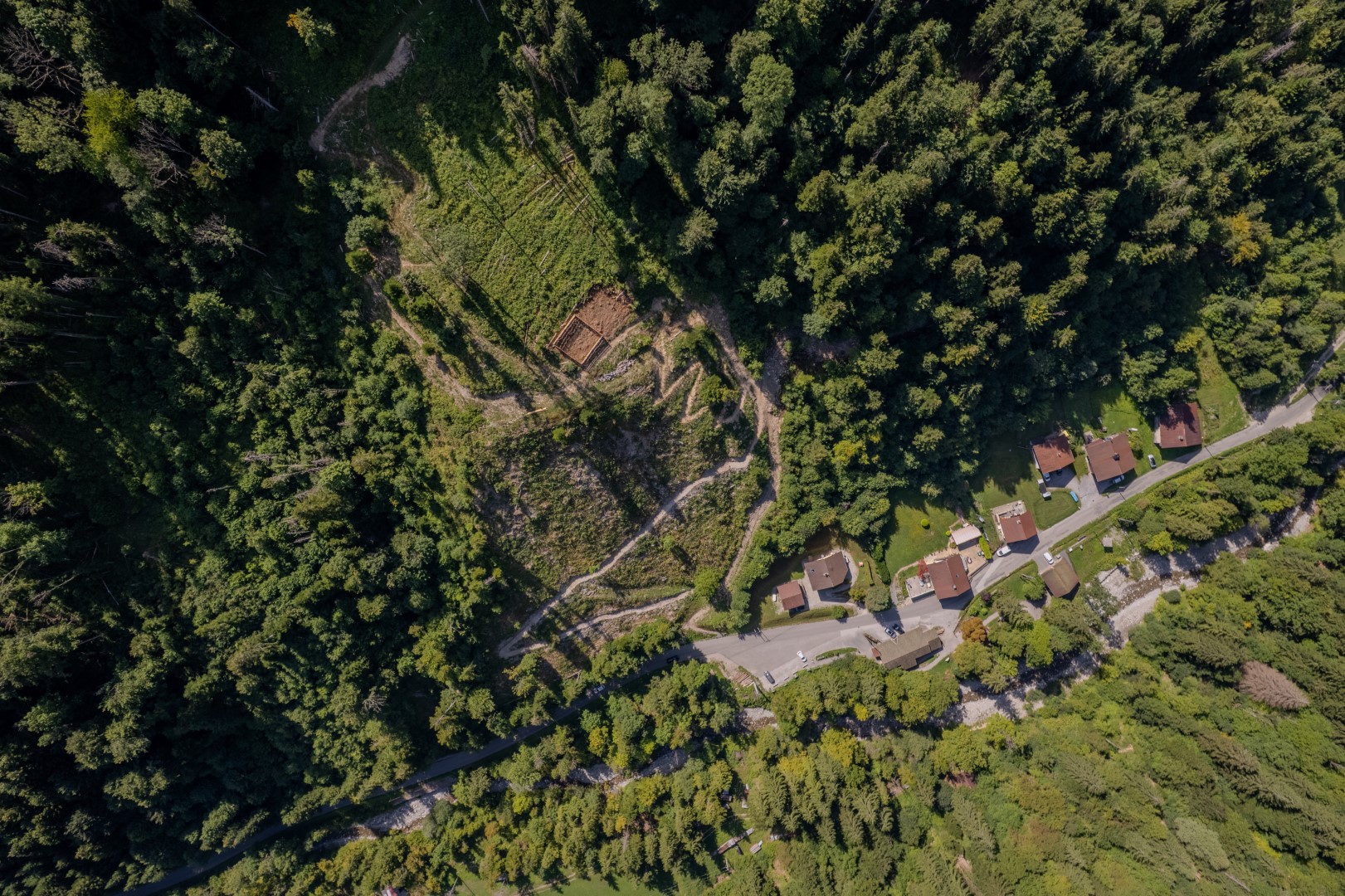 foret-ecole©ThierryMilherou.jpg