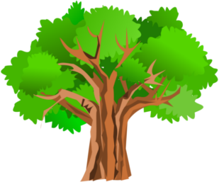 genearavis-tree.png