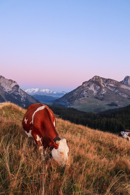 Beauregard-Mont Blanc©OT Thônes.jpg