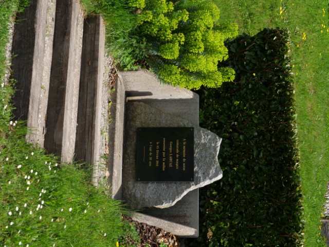stele _1_.JPG