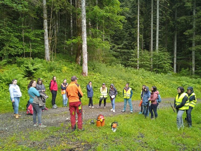 ecomusee-foret-ecole _5_.jpg