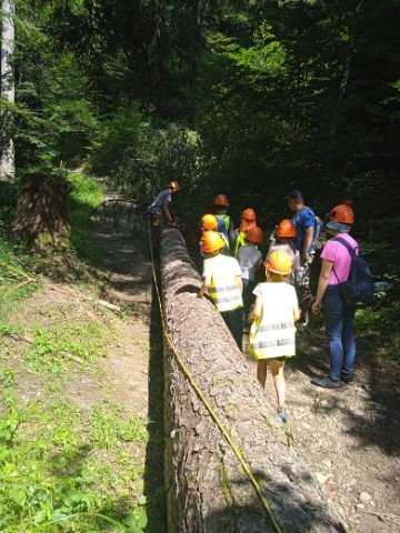 ecomusee-foret-ecole _4_.jpg