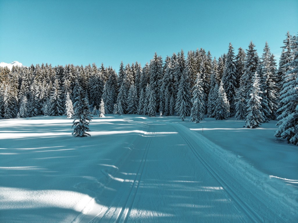 @Mathilde Sauvage - 0T Manigod _33_.jpg