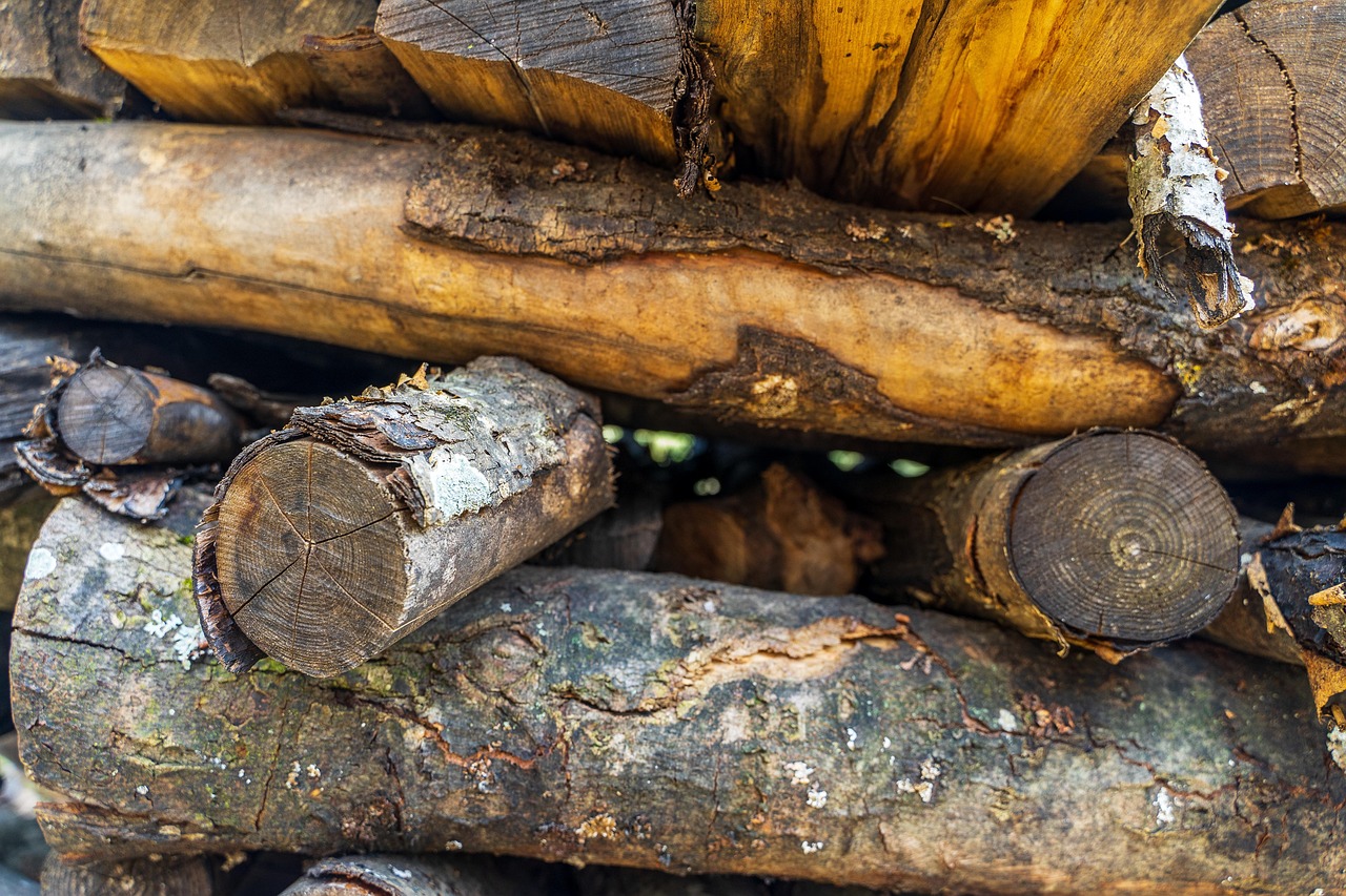 thorstenf-wood-6147461_1280.jpg