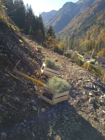 ecomusee-foret-ecole _10_.jpg
