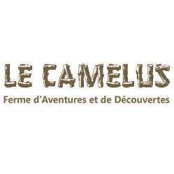 logo camelus.png