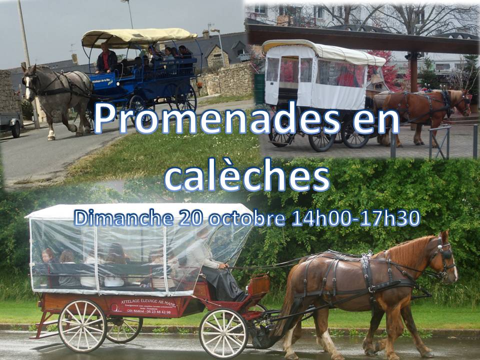 Présentation balades en calèches1.jpg