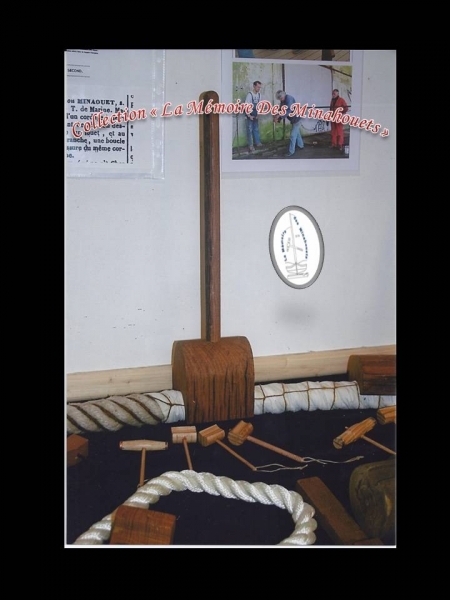 Photo de minahouets en action