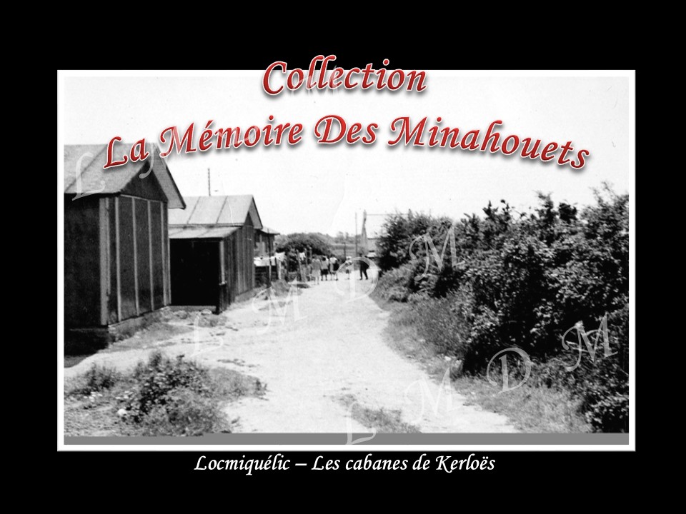 Photo des cabanes.jpg