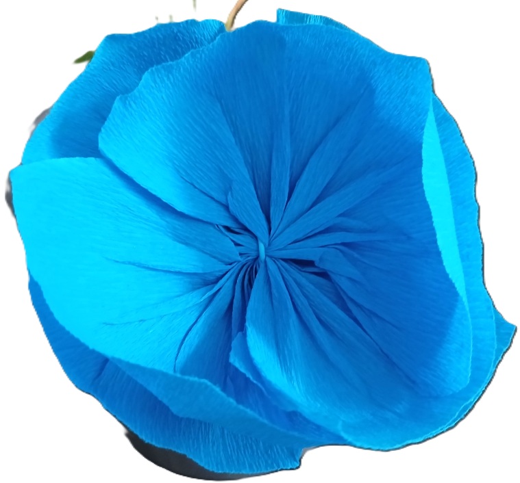 Fleur bleue.jpg