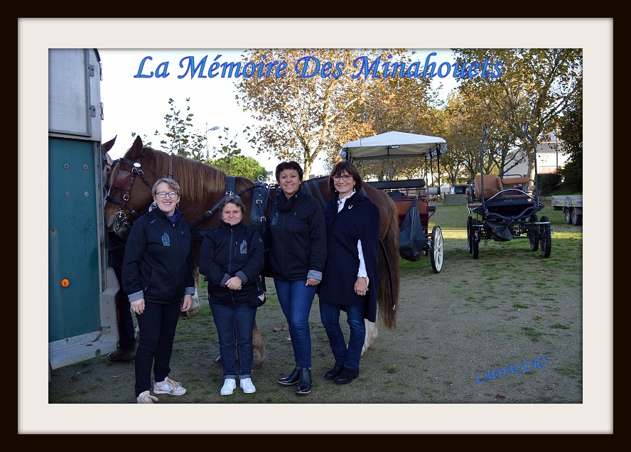 Calèches à Normandèz-DSC_9299.jpg