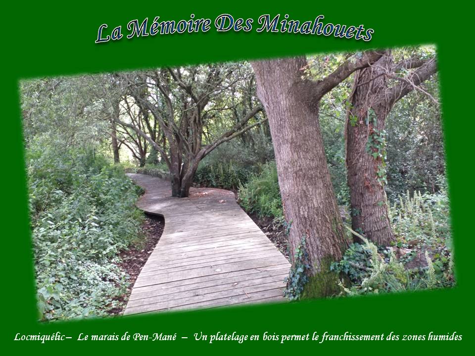 8-Le platelage en bois.jpg