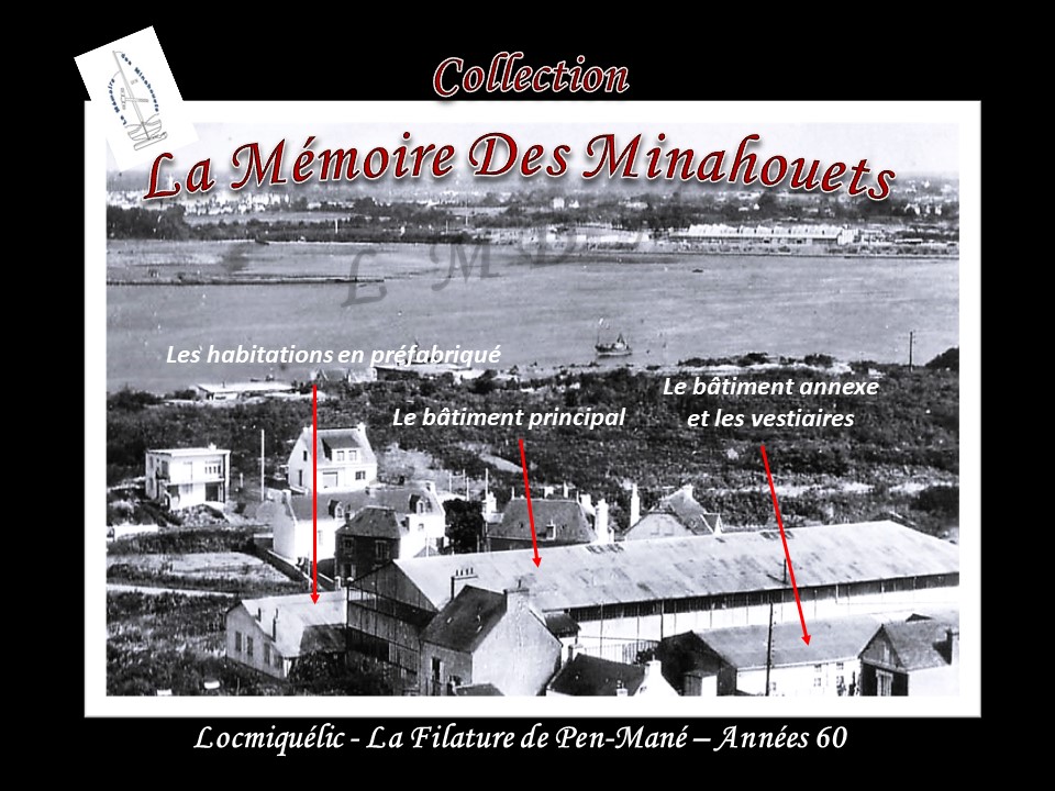 La Filature - Implantation des bâtiments.jpg