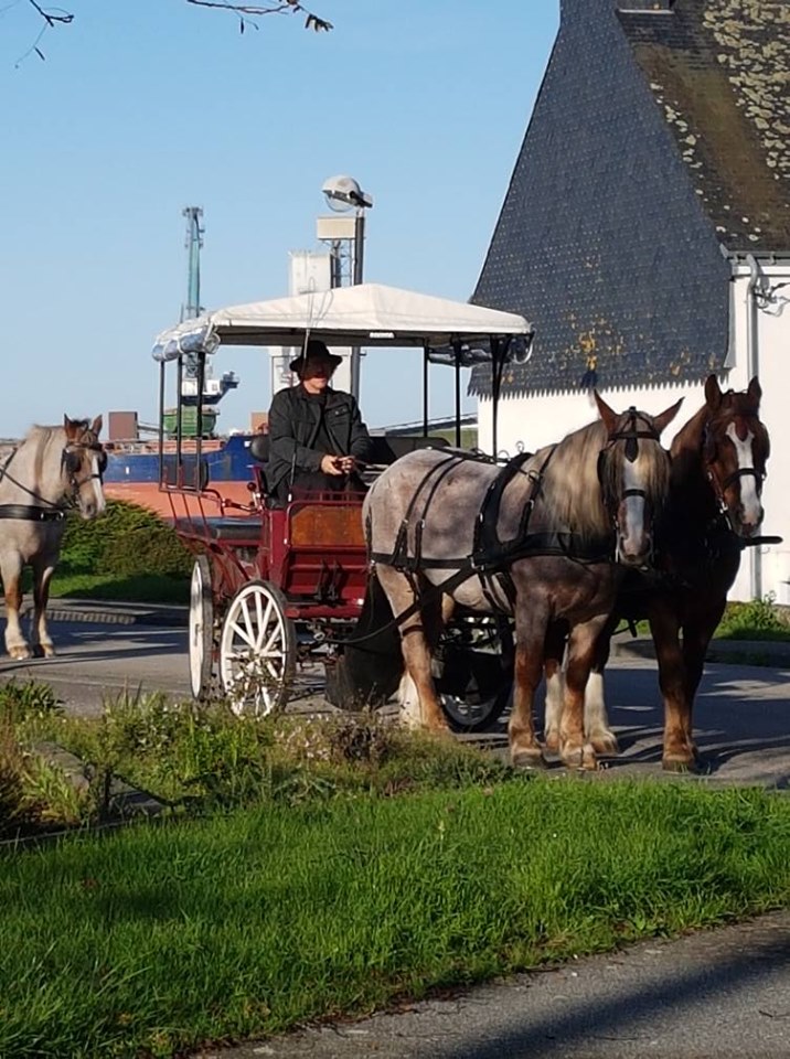 Calèche AR MANER à Pen Mané