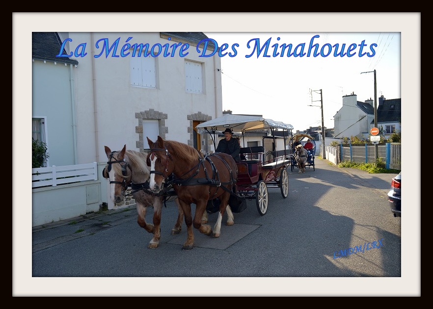 Calèches-DSC_9313.1