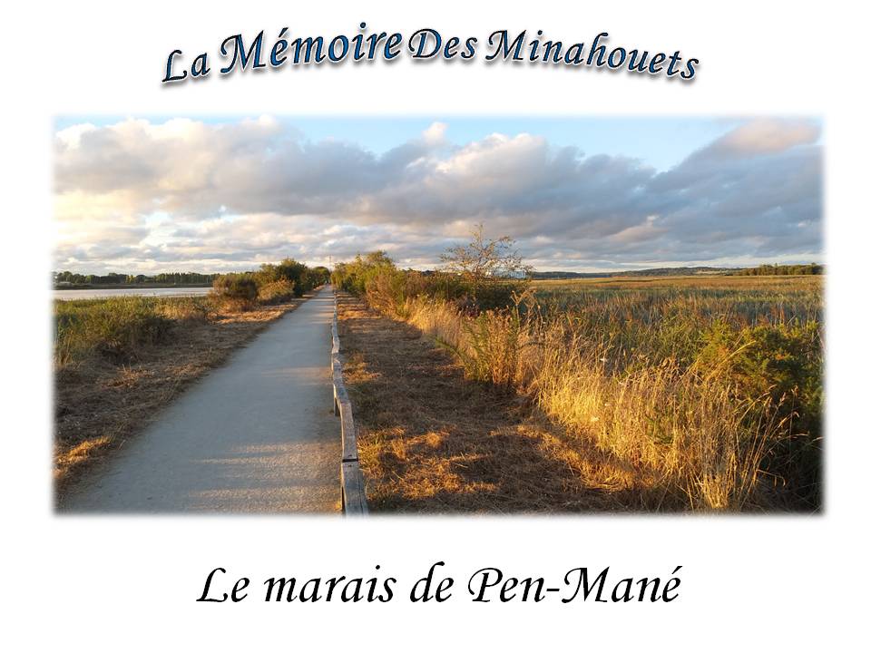 Le marais de Pen-Mané-Photo de couverture.jpg