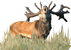 e75eeb6a7908ae4ce55bc6a43c6cae7e_Associatio.png