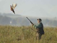 Chasse.jpg