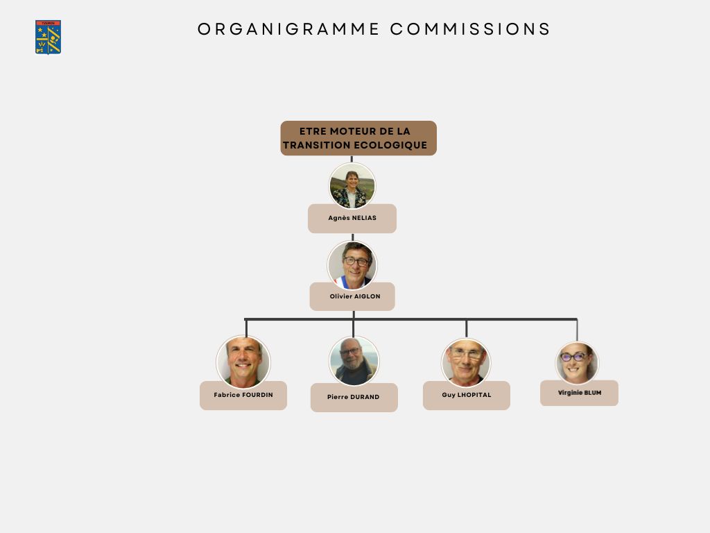 organigramme commission écolog.jpg