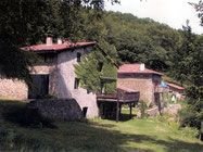 Les-toits-Rouges.jpg