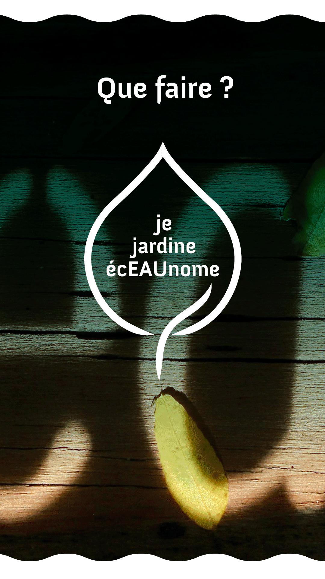 02_jejardineeceaunome2.png