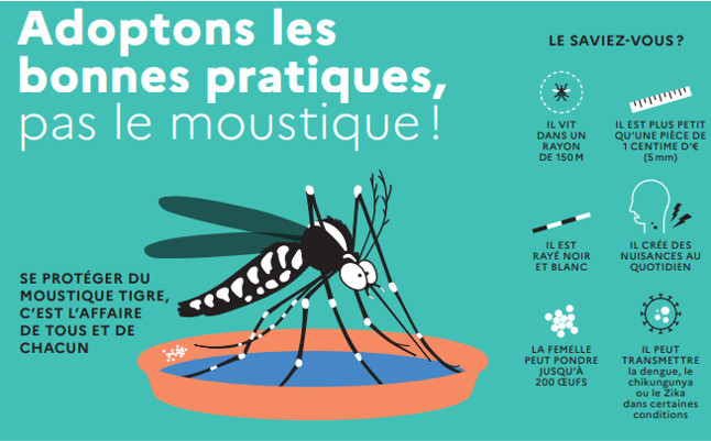 bonnes pratiques.png