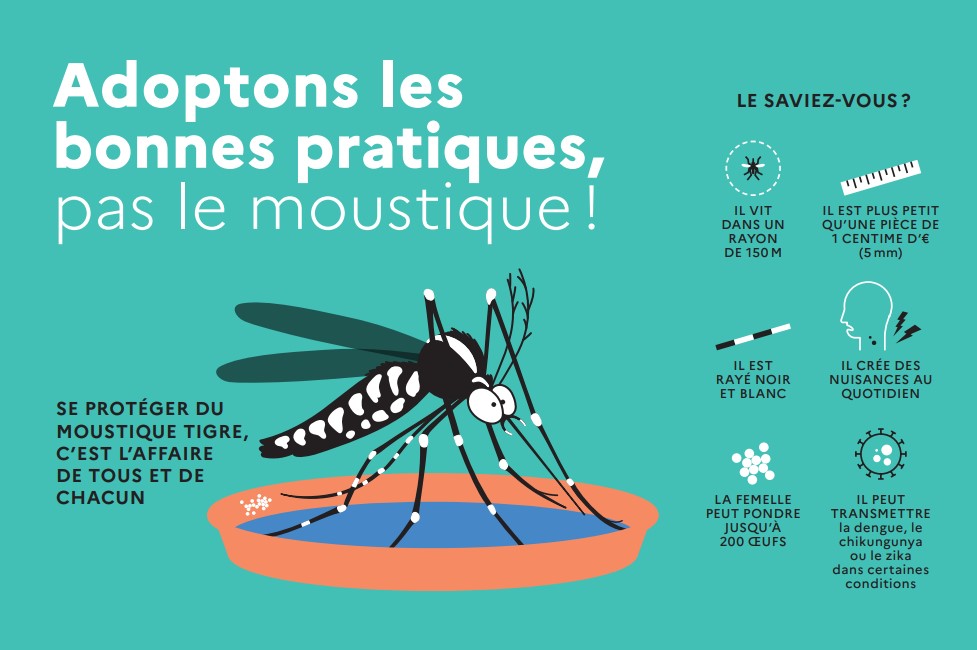 flyer_ARS_moustique_tigre_1.jpg