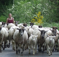 Ferme de Pâquerette.jpg